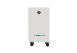Lithium Valley Technology - LVE-W10-5A