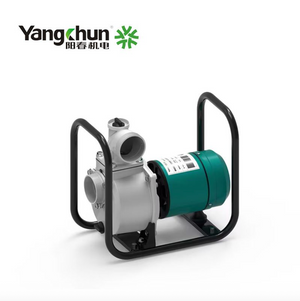 Yangchun Electric Motor -  TP30-S Series