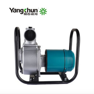 Yangchun Electric Motor -  TP30-S Series